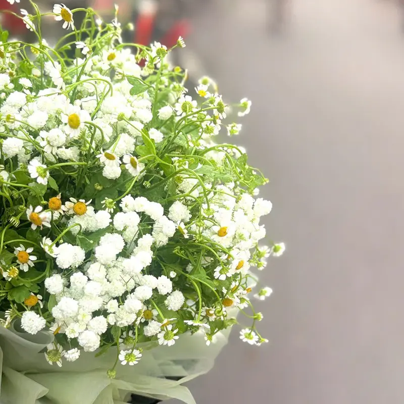 Hoa bó sinh nhật – ảnh 3