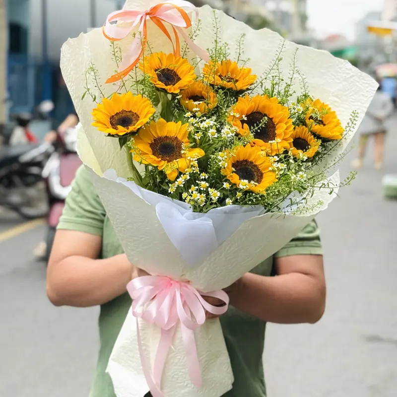 Hoa Bó Hướng mặt trời – ảnh 2