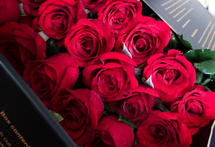 Ý nghĩa việc tặng hoa ngày 8/3 . Hướng dẫn lựa chọn hoa theo ý nghĩa riêng