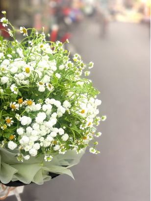 Hoa bó sinh nhật_HV_HB_065