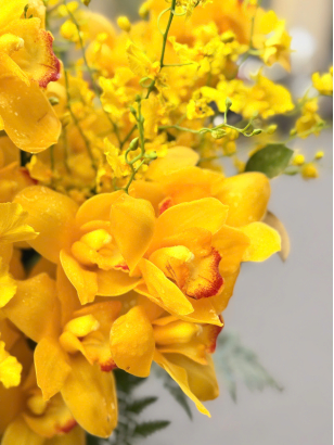 Hộp hoa chúc mừng_HV_HH_0090