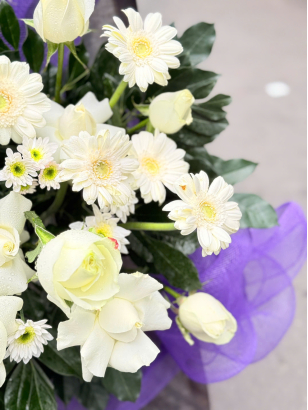 Kệ tang _ HV_KT_0050